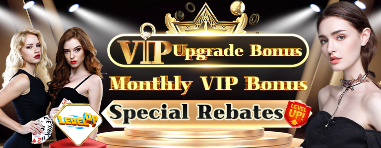 vip bonus in bdg game